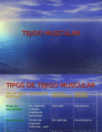 Fisiología: sistema muscular