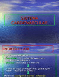 Fisiología: sistema cardiovascular, el corazón