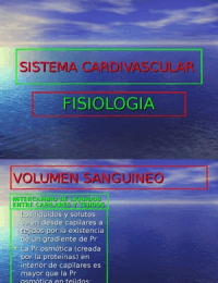 Fisiología: sistema cardiovascular