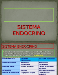 Fisiología: sistema endocrino