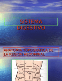 Fisiología: sistema digestivo