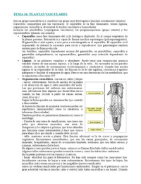 Botánica: Tema 16. Plantas vasculares