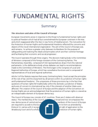 Summary Fundamental Rights