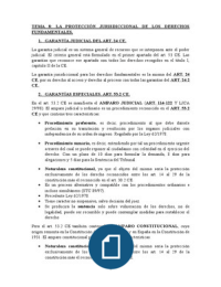 TEMA 8. LA PROTECCIÓN JURISDICCIONAL DE LOS DERECHOS FUNDAMENTALES