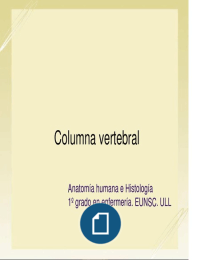 1º Enfermería; Anatomía l. Tema 6, parte 1. Columna vertebral.