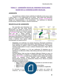 Tema 5 - Adhesión celular. Uniones celulares. Bases de la comunicación celular (Citología e Histología)