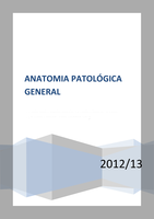 Anatomía Patológica 2012-2013 URV