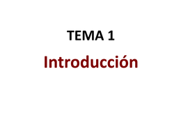 TEMA 1 - Introducción (son diapositivas)