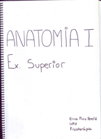 Anatomia I extremidad superior