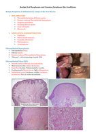 Benign Oral Neoplasms and Common Neoplasm.