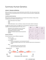 Summary Human Genetics (RU)