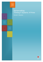 Samenvatting: Thinking in Systems A Primer - Business Analysis for Responsible Organizations