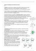 Celbiologie Campbell H5- Biological Macromolecules and Lipids (Engels)