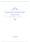 Samenvattting Public international law werkgroepen