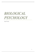Bio/Neuro Psychology Summary 