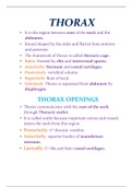 Thorax Anatomy