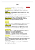 CONSTITUCIÓ, SISTEMA DE FONTS I DRETS FONAMENTALS (DRET) - TEMA 20