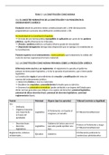 CONSTITUCIÓ, SISTEMA DE FONTS I DRETS FONAMENTALS (DRET) - TEMA 18