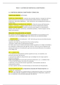 CONSTITUCIÓ, SISTEMA DE FONTS I DRETS FONAMENTALS (DRET) - TEMA 17