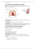 Tema 6 bloque respiratorio clínica I