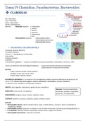 Pack de Apuntes Microbiología e Inmunología baratos
