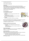Samenvatting Anatomie blok 3 HF1 (Fysiotherapie, KT1)