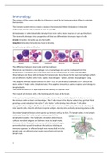 Immunology summary