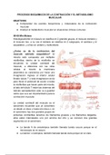Bioquímica de la Contracción Muscular, Clase magistral Dr. Hugo Corrales