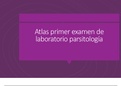 Atlas de las características morfológicas más importantes de los parasitos de importancia médica