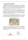 Apuntes 4º Biotecnología (UPV) Valencia