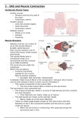 Muscle Contraction and Somatic Nervous system (SNS)