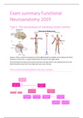 complete summary functional neuroanatomy 
