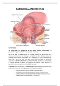 Digestivo- Patología anorrectal