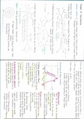 A-level A2 Biology Chapter 15 Coordination summary