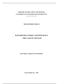 Doctoral thesis in Economics: Bank restructuring and efficiency the case of Vietnam