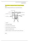 BIO 335 Week 1 Anatomical Features of Insects Worksheet, (New 2019/20 - Complete Guide)