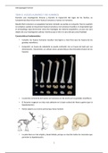 TEMA 9. Huesos humanos y no humanos