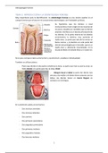 TEMA 3. Introducción a la odontología forense