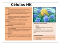 Album de celulas linfoides y vias.