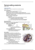 Anatomie samenvatting blok 3 leerjaar 2