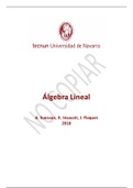 ALG Libro Algebra Apuntes
