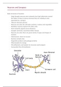 Neurons and Synapses 