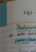 IB HL Biology Photosynthesis Notes