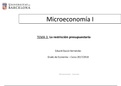 Apuntes microeconomia tema 3