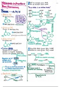 Metabolismo de los nucleótidos