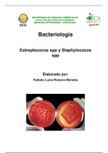Resumen de estafilococos y estreptococos