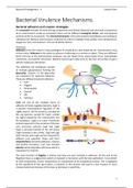Bacterial Virulence Mechanisms