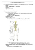 Overview of the Musculoskeletal System