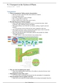 IB HL Biology Unit 9 Plants Notes 