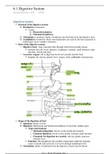 IB HL Biology Unit 6 Human Physiology Notes